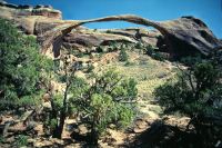 gal/Photographs/USA 2000/_thb_arches6.jpg